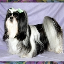 R Texas Star Shih Tzu's & R Texas Star Grooming & Boarding - Pet Services