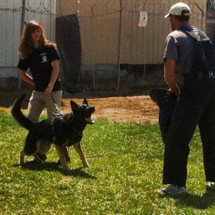 K9 Training Solutions - Rancho Cordova, CA