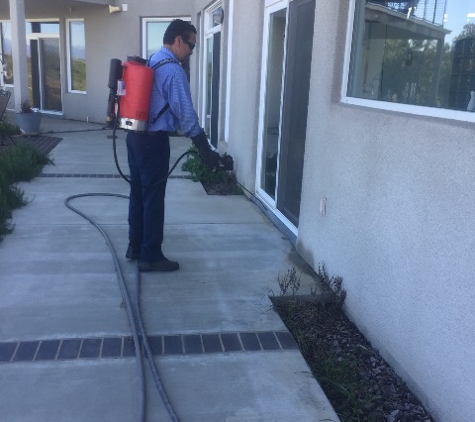 Freedom Pest Management - Colton, CA