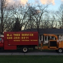 M J Tree Service - Tree Service