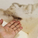 FM Services - Water Damage Restoration