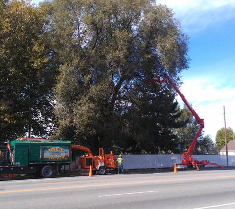 Nye's Tree Service & Stump Removal