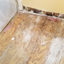 P&M Mold Pro - Mold Remediation