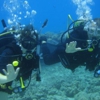 Scuba Club gallery