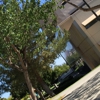Csu San Bernardino gallery