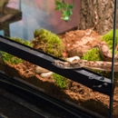 Hewitt Reptile Emporium - Pet Stores