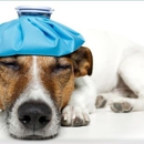 Broadview Animal Hospital - Veterinary Clinics & Hospitals