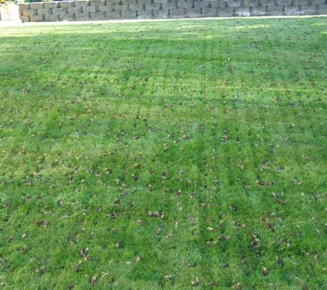 BV lawn services and landscaping - westminster, CO