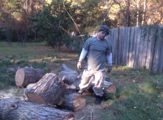 Sanford's Tree Service Inc. - Fernandina Beach, FL