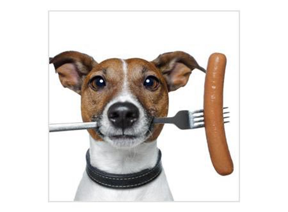 Valley Vet Mackay - Mackay, QLD