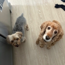 Woofie's of Columbia - Pet Grooming