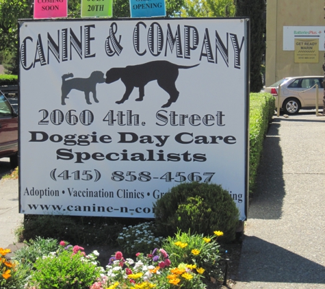 Canine & Company - San Rafael, CA