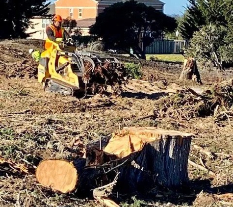 Tope's Tree Service - Salinas, CA