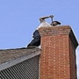 Chimney Sweep OKC