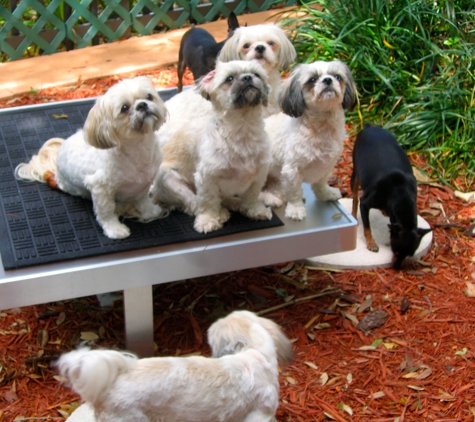 Roger Gilley DVM - Homestead, FL. Rosa Family Dogs