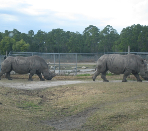 Lion Country Safari - Loxahatchee, FL