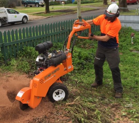 On The Mark Tree Service - Gregadoo, NSW
