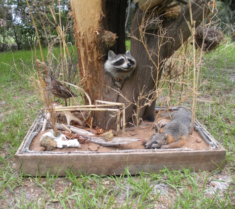 JC Taxidermy - Lithia, FL