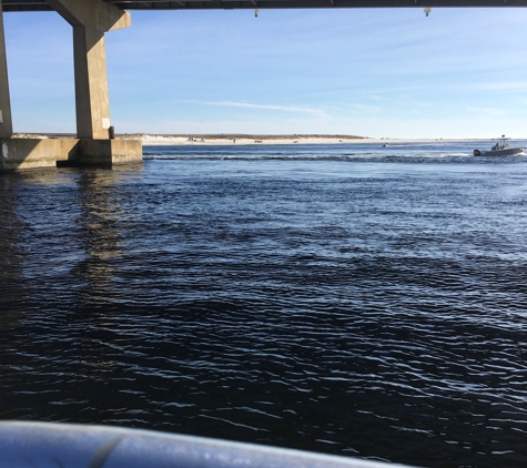 Dolphins Down Under - Orange Beach, AL