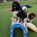 Pampered Pets Bed & Biscuit - Pet Services