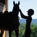 Biamonte Stables - Horse Training