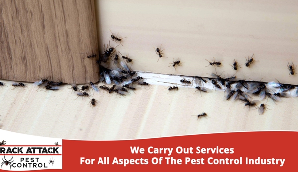 Rack Attack Pest Control - Chinchilla, QLD. Trusted And Guaranteed Service