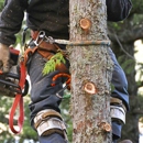 Cornerstone Tree Service - Landscaping & Lawn Services