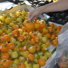 Windmill Farms-Produce