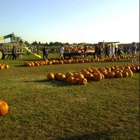 Hanks Pumpkin Town