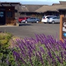Surf Inn - Bed & Breakfast & Inns