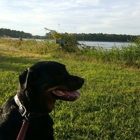 Assawoman Wildlife Area