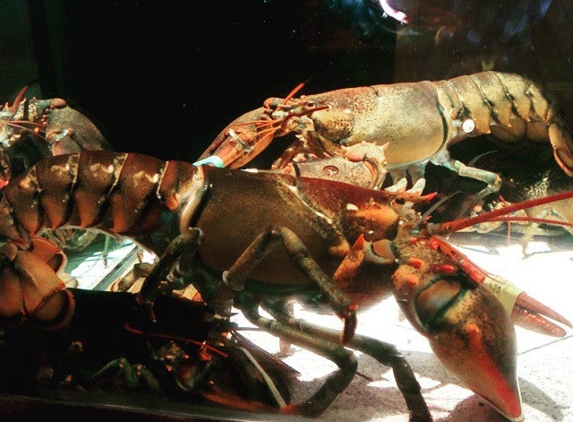 Red Lobster - Sterling, VA