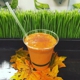 Wheatgrass Juice Bar