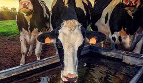 Avonsleigh Veterinary Clinic - Avonsleigh, VIC