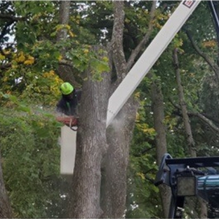 4 Seasons Tree Service - Newburgh, NY