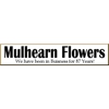 Mulhearn Flowers LLC gallery