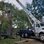 Timberland Tree Service, LLC