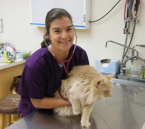 Taylorsville Veterinary Clinic - Mount Airy, MD