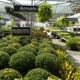 Garden Center at The Home Depot