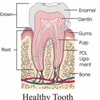 Taylor Endodontics