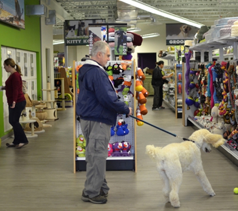 Chico's Natural Pet Market - Falls Church, VA