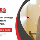 MR-Pro Mold Removal of NYC - Mold Remediation