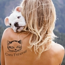 Absolute Laser Tattoo Removal - Tattoo Removal
