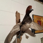 Central Flyway Taxidermy