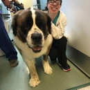 Thrive Pet Healthcare Specialists Miami - Veterinarians