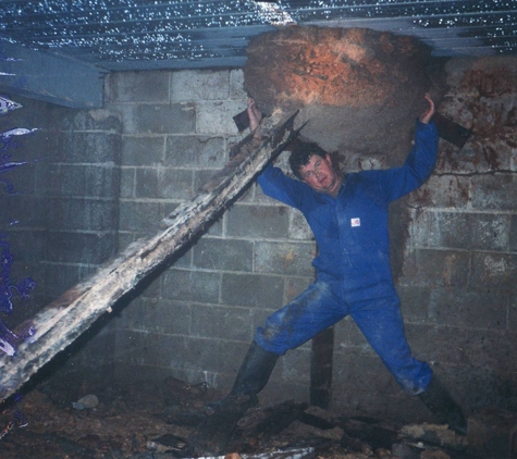 North Sydney Pest Management - Willoughby, NSW