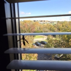 Armor Termite and Pest Control
