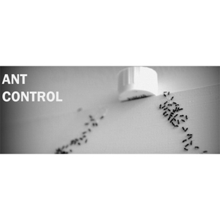 Affordable Pest Control - Nowra, NSW