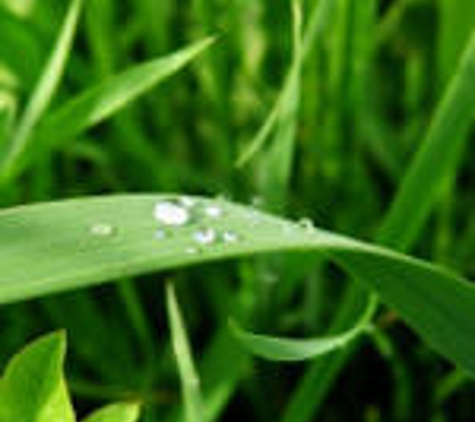 Lawrence's Irrigation - Naracoorte, SA