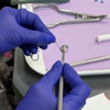 Ogden Orthodontics gallery